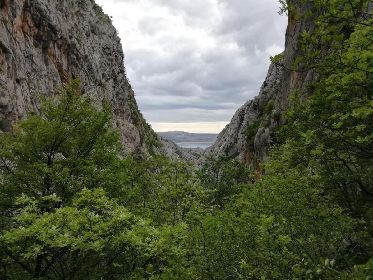 Green Point Paklenica Starigrad Paklenica Εξωτερικό φωτογραφία